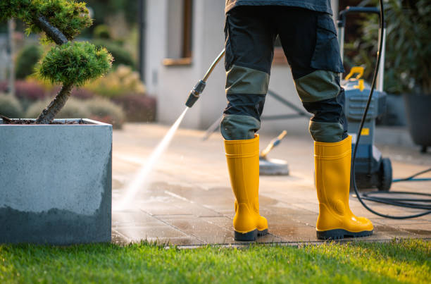 Best Pressure Washing Near Me  in Germantown Hls, IL